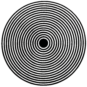 Nhìn vào hình tròn màu đen ở giữa các bạn sẽ thấy dường như đây là 1 cái đĩa đang quay rất nhanh