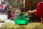 Video: Sốc với "công nghệ" nhuộm cốm xanh bằng phẩm màu