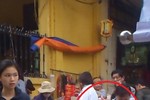 Video: Gã ăn xin thu nhập nghìn đô lại van lơn, xin tiền