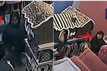 Video: Hai nữ quái “chôm” sạch tiền cửa hàng bán đồ cho thú cưng