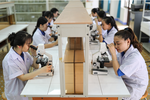 Hơn 97% doanh nghiệp nhỏ và vừa, làm sao tạo nguồn thu cho trường đại học?