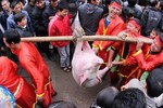 "Nóng bừng bừng" với Lễ hội chạy lợn ở Hà Nội