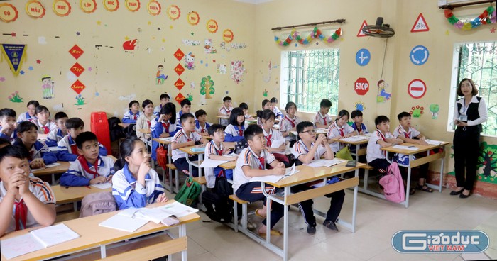 Những mong mỏi của giáo viên gửi Bộ Giáo dục nhân dịp ngày Nhà giáo Việt Nam ảnh 7