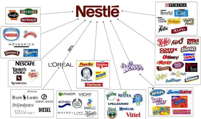 Nestlé Việt Nam: 18 năm hoạt động, 14 năm lỗ và những con số bất ngờ | Giáo  dục Việt Nam