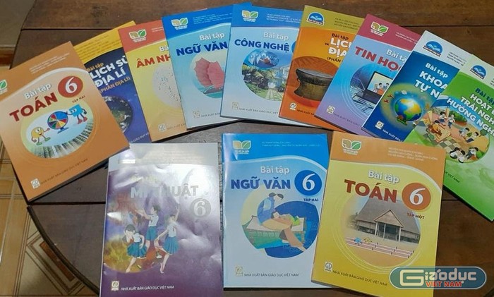Bộ cần cấm nhà trường bán sách tham khảo, vở bài tập kèm sách giáo khoa ảnh 1