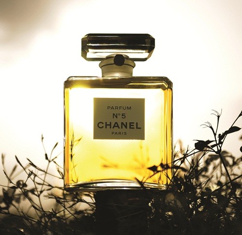 Chanel N°5: Nốt trầm hương vĩnh cửu | Giáo dục Việt Nam