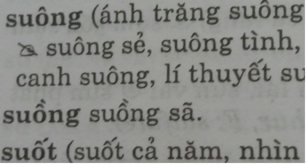 Từ điển chính tả... sai chính tả ảnh 5