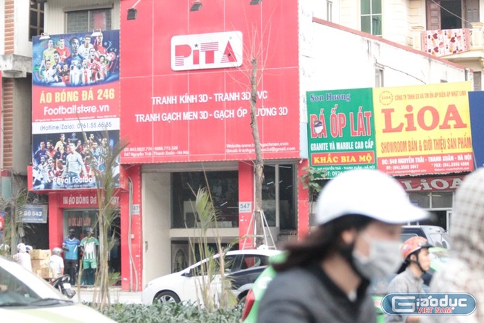 Xem cây mới trồng trên đường Nguyễn Trãi mãi trông như cái cột điện ảnh 2
