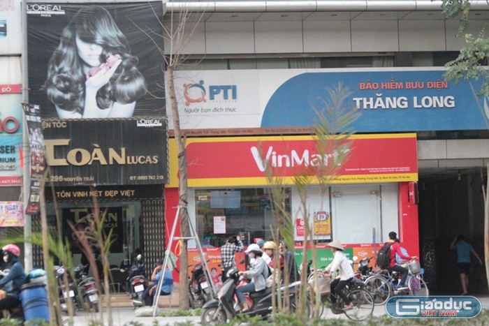 Xem cây mới trồng trên đường Nguyễn Trãi mãi trông như cái cột điện ảnh 7