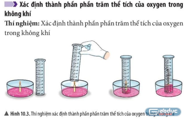 Một số thí nghiệm ở sách KHTN 6, bộ Chân trời sáng tạo được cho là có sai sót ảnh 1