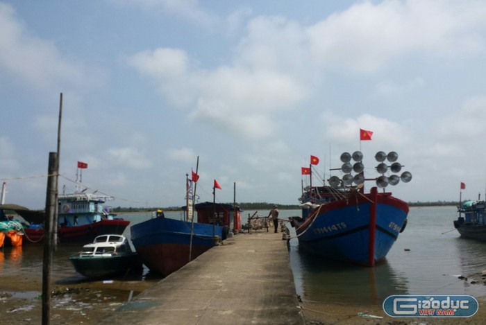 “Gạc Ma, chúng tôi không quên!” ảnh 5