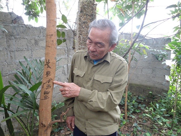 Ông Trịnh Xuân Vân chỉ dòng chữ bên cây nhãn cho phóng viên xem. ảnh 1