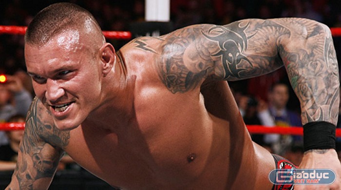 Hình Xăm Của Randy Orton  Wwe Có Bài Viết Về Top 20 Hình Xăm