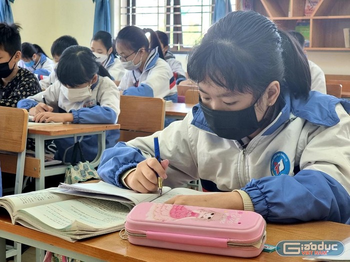 Các trường tiểu học tại Hải Phòng "gấp rút" tổ chức kiểm tra học kỳ I ảnh 6