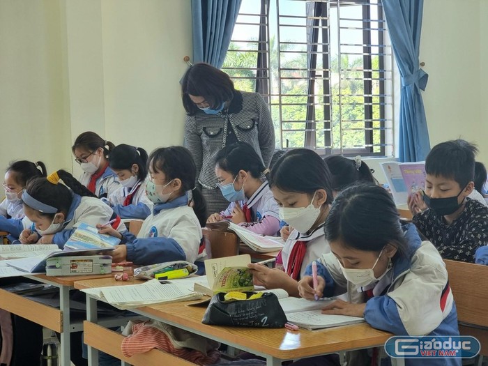 Các trường tiểu học tại Hải Phòng "gấp rút" tổ chức kiểm tra học kỳ I ảnh 5