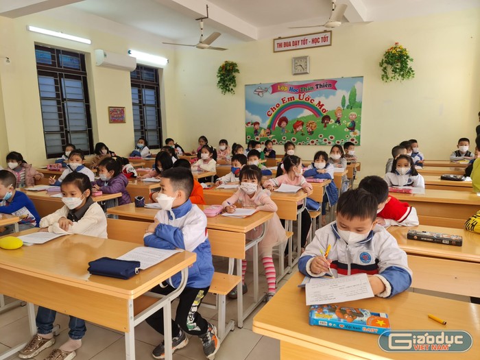 Các trường tiểu học tại Hải Phòng "gấp rút" tổ chức kiểm tra học kỳ I ảnh 1