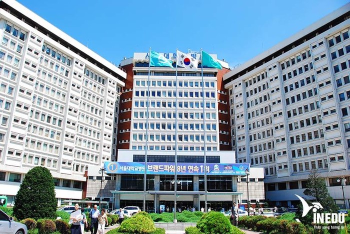 Bảng xếp hạng 5 trường đại học hàng đầu của Hàn Quốc năm 2022 | Giáo dục  Việt Nam