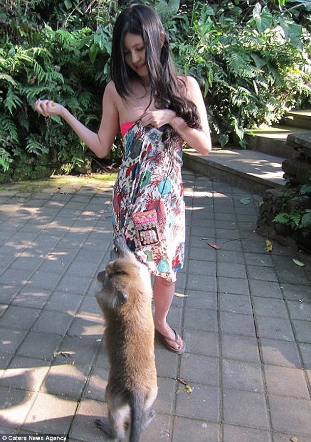 Khỉ diện váy áo để xin tiền khách qua đường ở Indonesia - VnExpress Du lịch