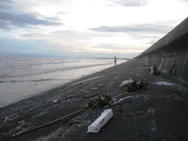 Thật khó đi dạo những bãi biển rác như thế này