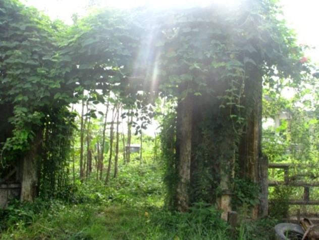 Trần Trinh Huy mất năm 1973, gia đình ly tán, lăng mộ của gia đình Công tử Bạc Liêu không có người chăm sóc, cỏ cây rậm rạp.