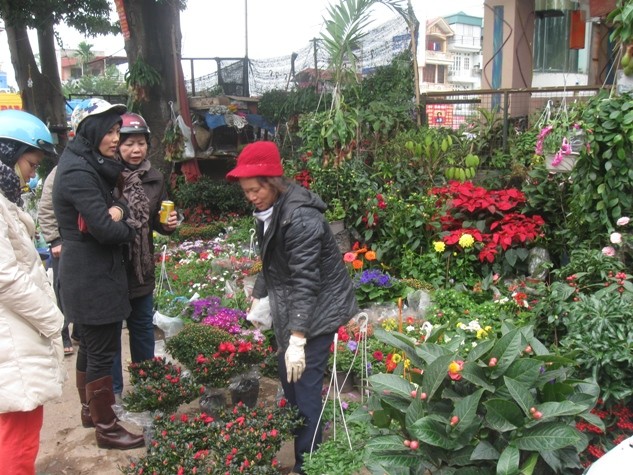 Người dân thủ đô dành ngày nghỉ tết đi chơi chọn hoa trang trí cho dịp năm mới.