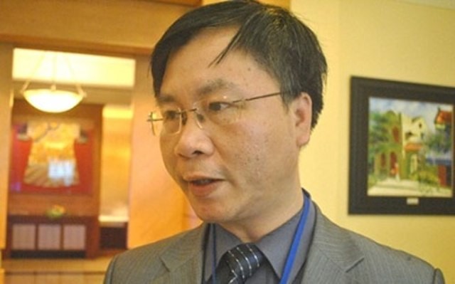 TS. Vũ Đình Ánh, Chuyên gia kinh tế