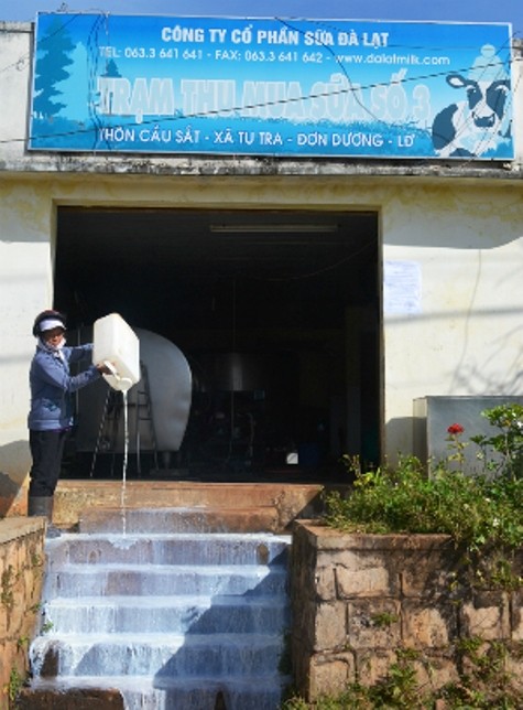Nông dân đổ sữa bò trước cửa Công ty Dalat Milk. Ảnh: QD