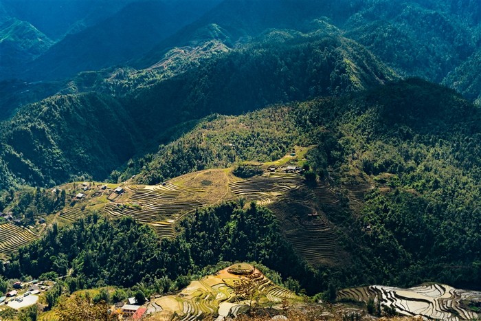 Ruộng bậc thang với sắc vàng của ngày mùa tô thăm núi rừng Sapa.