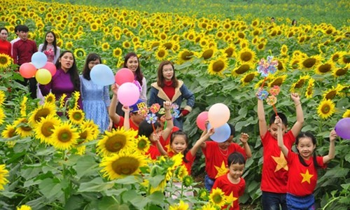 Lễ hội hoa hướng dương năm 2016 tại cánh đồng hoa hướng dương trong trang trại bò sữa TH - ảnh Báo Nghệ An.