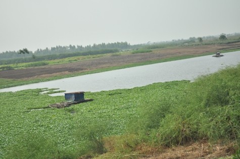 Đoạn lạch sông qua thôn Tráng Việt (xã Tráng Việt, huyện Mê Linh, HN)