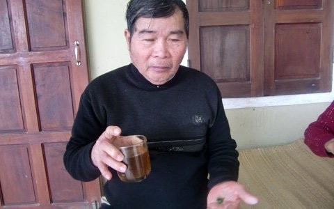 Gần 3 năm nay, ngày nào ông Lộc cũng ăn mật cóc để chữa bệnh ung thư