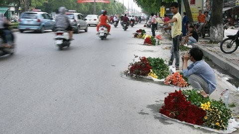Đa dạng các loại hoa được bày bán tràn lan trên vỉa hè, dưới lòng đường. Người bán một số ít là phụ nữ còn phần lớn là các nam thanh niên đến từ những vùng trồng hoa ven Thủ đô như Tây Tựu, Mê Linh…