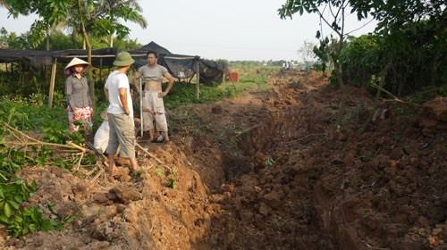 Người dân Xuân Quan, Văn Giang trở lại trồng cây ngắn ngày trên đất đã bị cưỡng chế - Ảnh: Minh Quang - Giáo dục Việt Nam