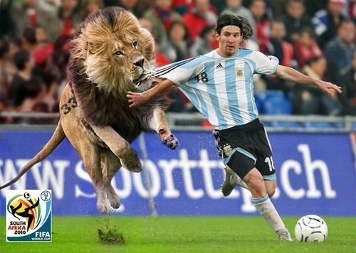 Để đuổi kịp Messi thì chỉ có thể là sư tử mà thôi.