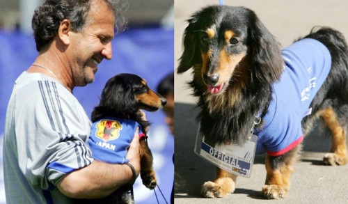 Huyền thoại Zico ôm một chú chó đáng yêu tại World Cup 2006 khi ông đang dẫn dắt tuyển Nhật Bản.