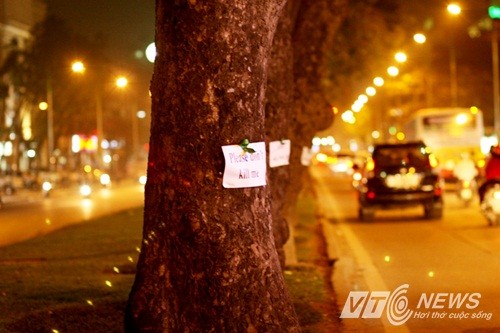 Người dân thủ đô xuống đường dán poster bảo vệ cây xanh (Ảnh: VTC News)