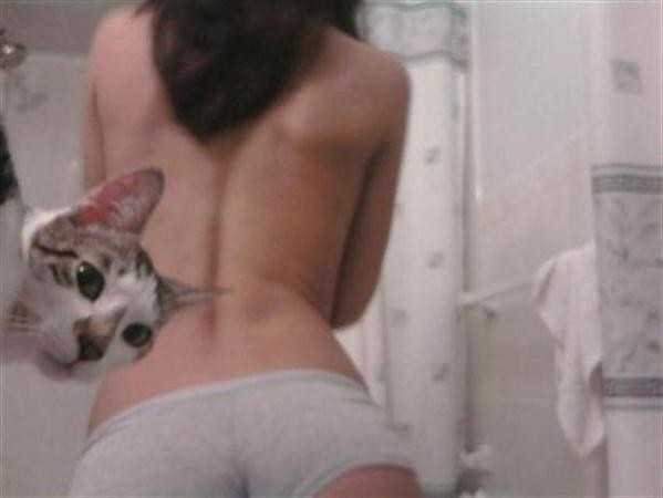 Suỵt, đừng ai nói Mèo đang nhìn trộm cô ấy tắm nhá!