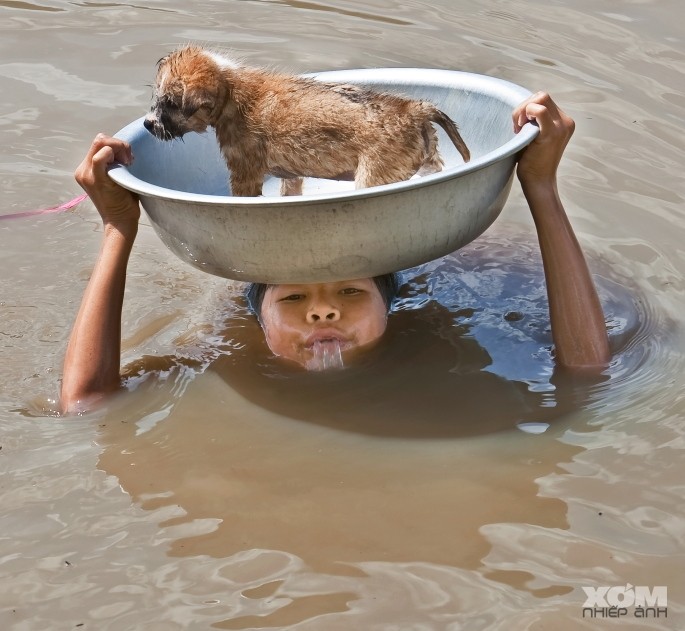 Hình ảnh cảm động của một chú bé miền Trung và con chó nhỏ đang ngụp lặn trong bão nước.