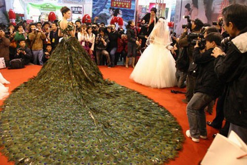 8. Váy cưới lông công Bộ đầm với hai màu chủ đạo xanh lục và lá cây có đuôi váy được kết từ 2.009 chiếc lông công. Chiếc váy cưới đắt giá là công sức của 8 thợ may trong suốt 40 ngày. Đây là sản phẩm của một nhà máy chuyên về váy cưới ở thành phố Nam Kinh, phía đông tỉnh Giang Tô, Trung Quốc. Chiếc váy cưới độc đáo này trị giá 1,5 triệu USD (tương đương 31,3 tỷ đồng).