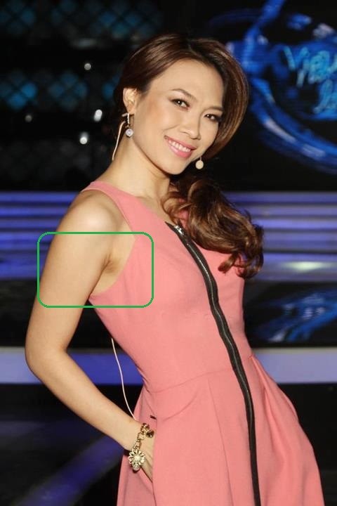 Vị giám khảo xinh đẹp của Vietnam Idol 2013 cũng gặp trường hợp tương tự