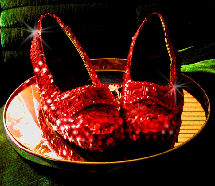 Đôi giày màu đỏ này được lấy cảm hứng từ hai đôi giầy đắt nhất thế giới và bản thân nó cũng trở thành một trong những đôi giầy có giá "khủng" nhất trên thế giới, trị giá 666.000 USD (tương đương 13 tỷ đồng).