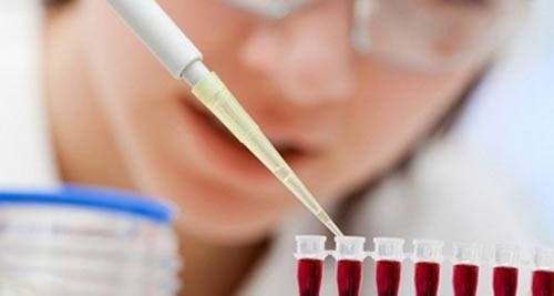 Nghiên cứu ứng dụng tế bào gốc trong y học ngày càng phát triển