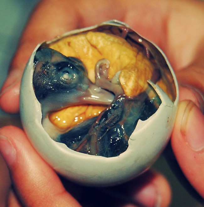 Trứng vịt lộn - món ăn quen thuộc ở Việt Nam bị xếp vào danh sách một trong những món ăn kinh dị nhất hành tinh.