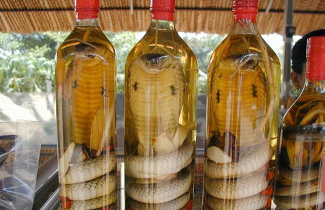 Tiết rắn, rượu rắn đều được xếp vào những món ăn kinh dị trên thế giới