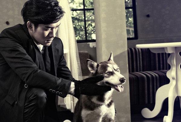 Bộ ảnh của cặp đôi Ái Phương - Nhật Vũ càng thêm phần ấn tượng khi có sự góp mặt của ba "diễn viên minh họa" là một gia đình nhà chó husky với ba thành viên.