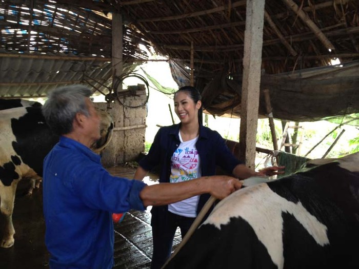 Ngọc Hân cho biết, cô đã học hỏi được rất nhiều từ bác Trần Văn Roi việc chăn nuôi bò sữa.