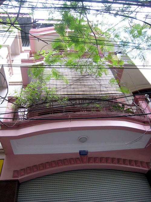 Căn nhà ở trên phố Nam Cao, Hải Phòng.