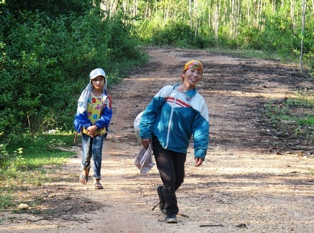 Hôm nào được nghỉ học, em Nguyễn Thị Lành, học sinh lớp 6 lại theo mẹ vào rừng nhặt hạt dẻ (Ảnh: Thủy Phan)