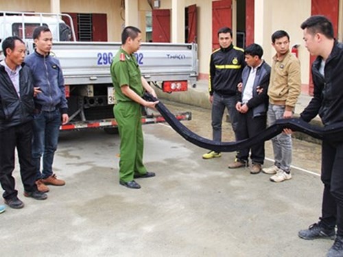 Một vụ vận chuyển ma túy với thủ đoạn tinh vi bị lực lượng Cảnh sát Phòng chống tội phạm về ma túy Công an tỉnh Sơn La bắt giữ
