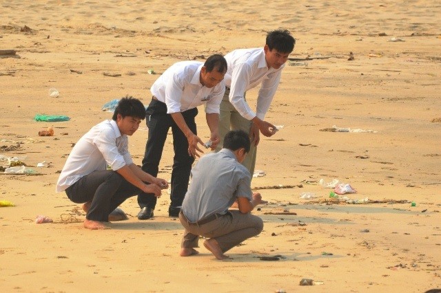 Cá chết hàng loạt trôi dạt vào bờ biển Quảng Bình Nhiều ngày qua (Ảnh: Văn Được)